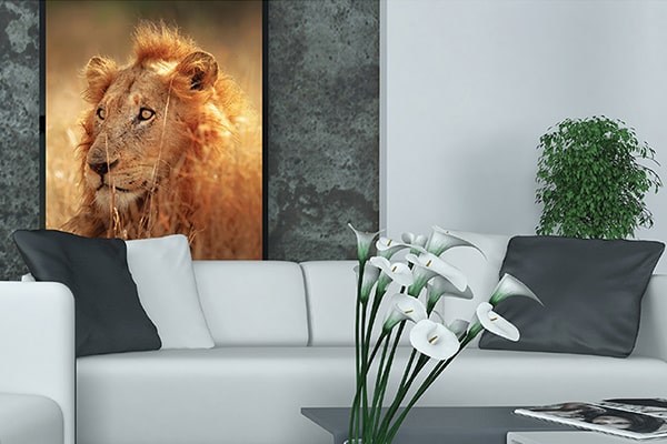 Canvas and Wall Art