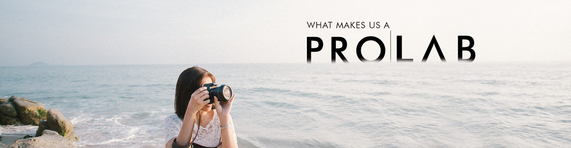 what makes us a prolab banner